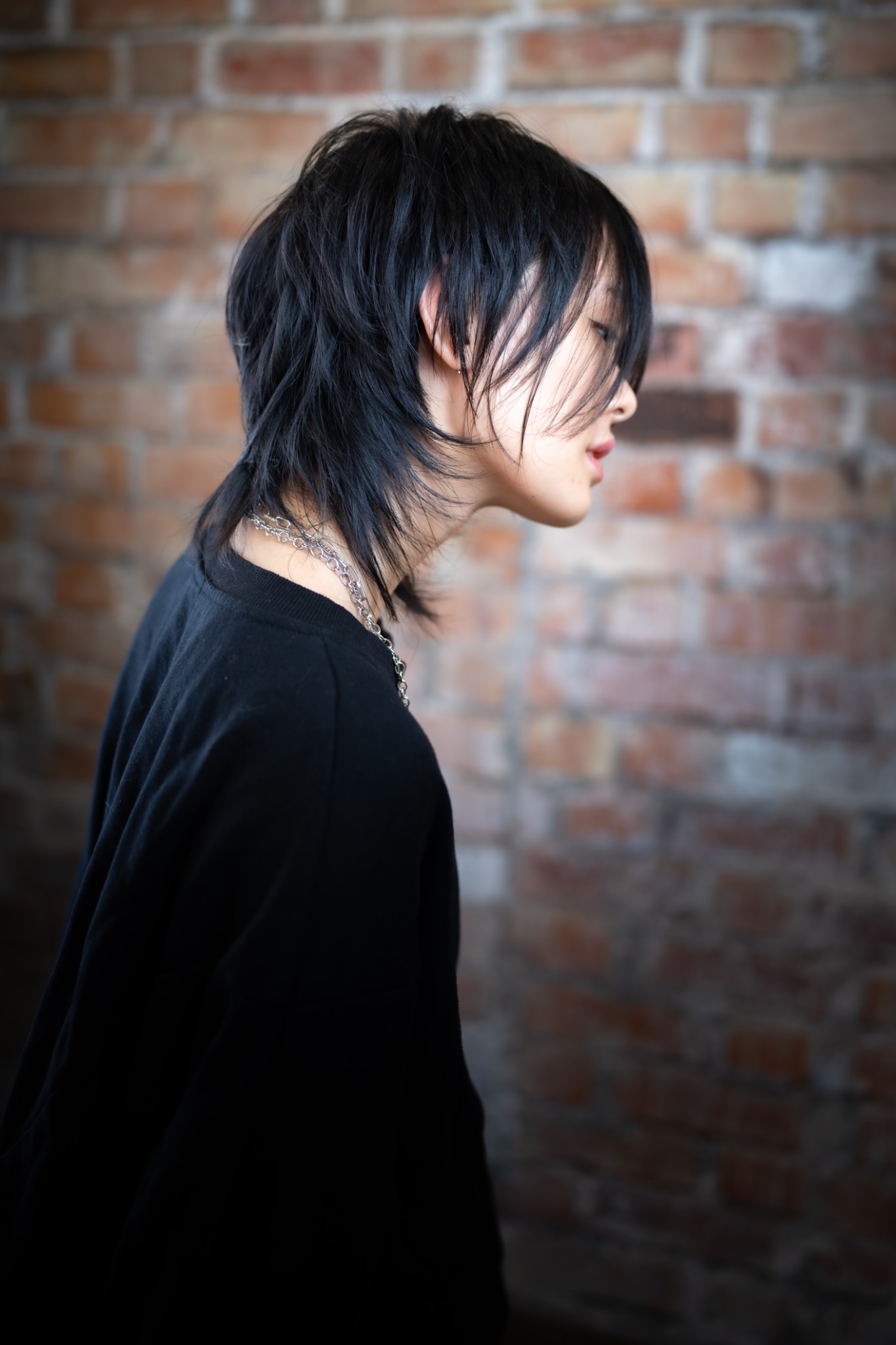 Black layered wolf cut in side profile