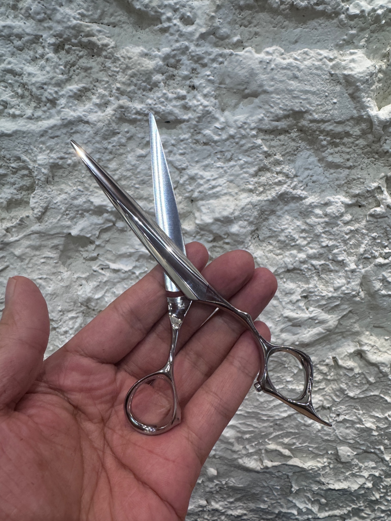 Daisuke’s SLIK COSMOS scissors, open